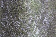 Brotherton fibreglass roof work